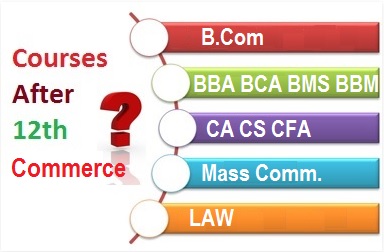 Degree Courses